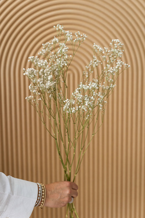 My Flowers.shop Natuurlijk wit gedroogd Gipskruid | Witte Gypsophila droogbloemen |  Lengte ± 60 cm | Per bos van 5 takken - vtwonen shop