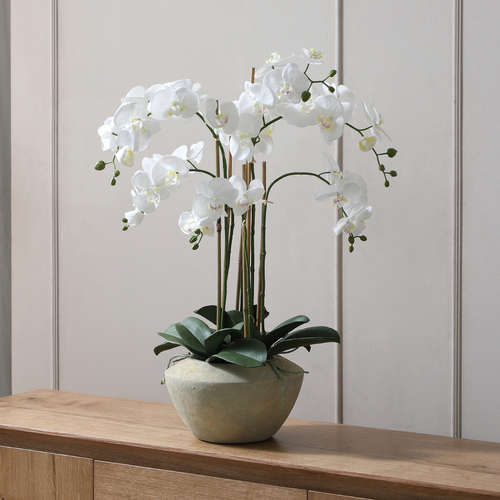 Sia Deco Orchidee Compositie Kunstmatig - wit - H86 - vtwonen shop