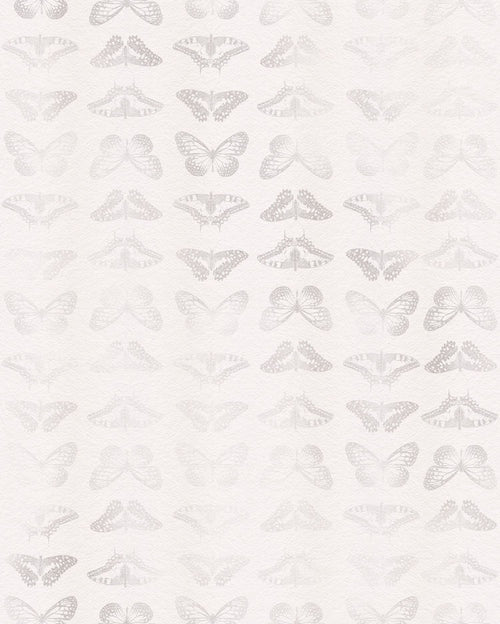 Komar fotobehang vlinders grijs - 200 x 250 cm - 610003