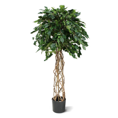 Maxifleur Ficus Exotica bol kunstplant op stam 150cm