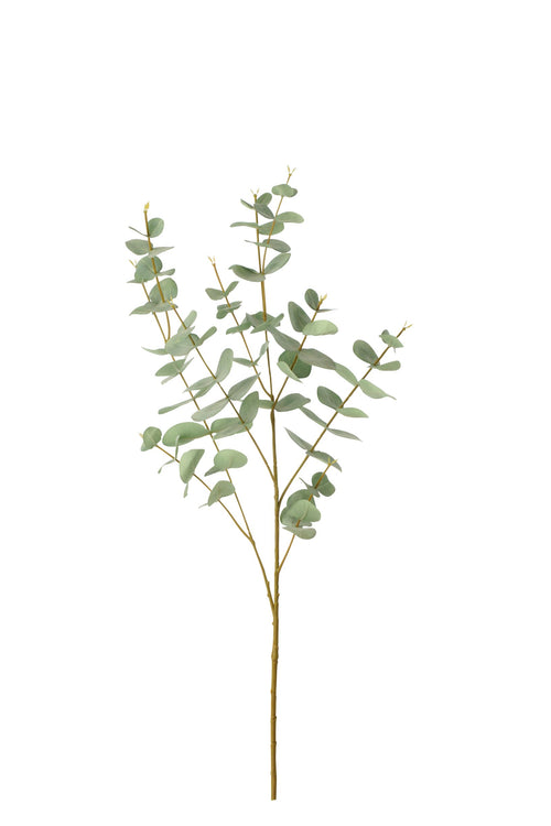 J-Line plant Eucalyptus - textiel - groen -  2 stuks