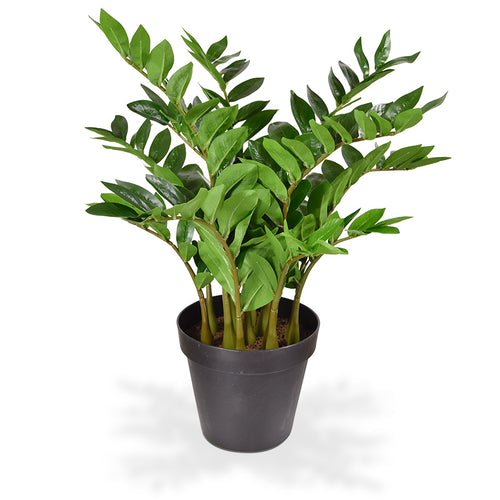 Maxifleur Zamioculcas kunstplant 70cm