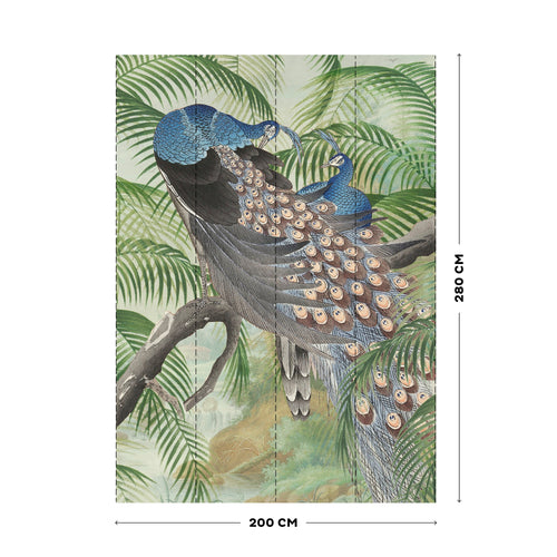 Art for the Home Fotobehang - Peacock - 280x200cm - vtwonen shop