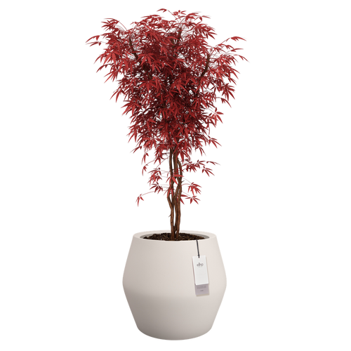 elho june split low 46 linnen wit | Bloempot |Premium statementdesign