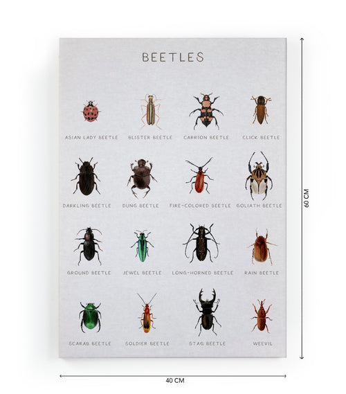 Canvas 60x40 Afdruk Beatles - vtwonen shop