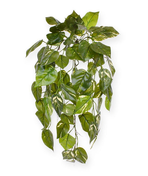 Maxifleur Pothos kunst hangplant deluxe 70cm - bont