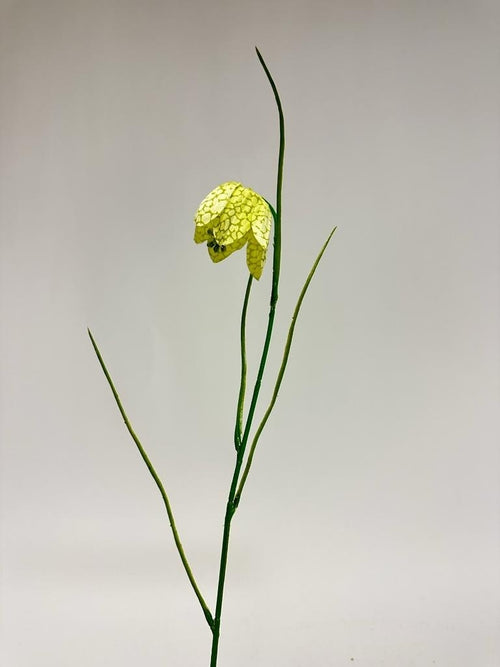 My Flowers.shop Groene fritillaria zijden bloem | Lengte 45 centimeter | Per stuk - vtwonen shop