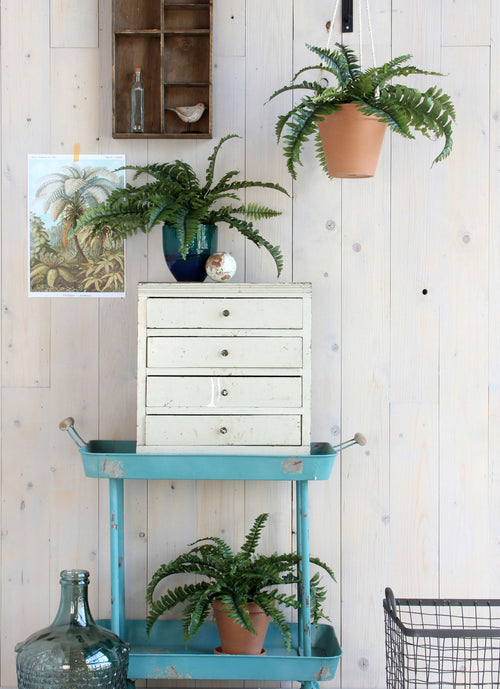 Mica Decorations Boston Varen Kunstplant in Bloempot Stan - H42 x Ø50 cm - Groen