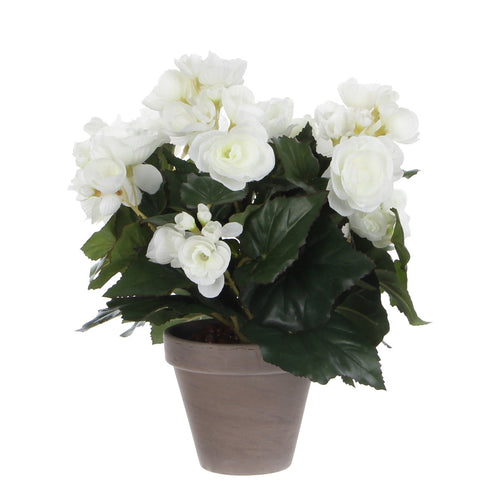 Mica Decorations Begonia Kunstplant in Bloempot Stan - H30 x Ø25 cm - Wit