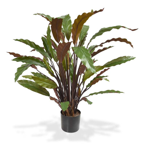 Maxifleur Calathea Red kunstplant 60cm