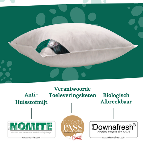 Ten Cate hoofdkussen - 100% eendenveren - 60x70 - vtwonen shop