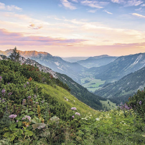 Sanders & Sanders fotobehang alpen landschap groen - 400 x 250 cm - 612483