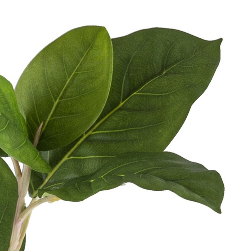 Flourify kunstplant - Ficus moclame - 115 cm - vtwonen shop