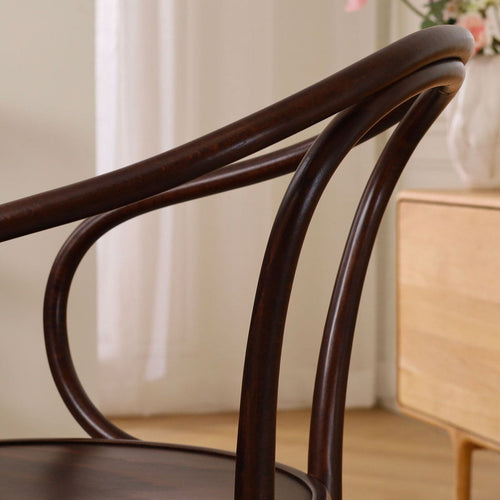 Fameg Venice No.9 Houten Eetkamerstoel Walnoot - Met Armleuning - vtwonen shop