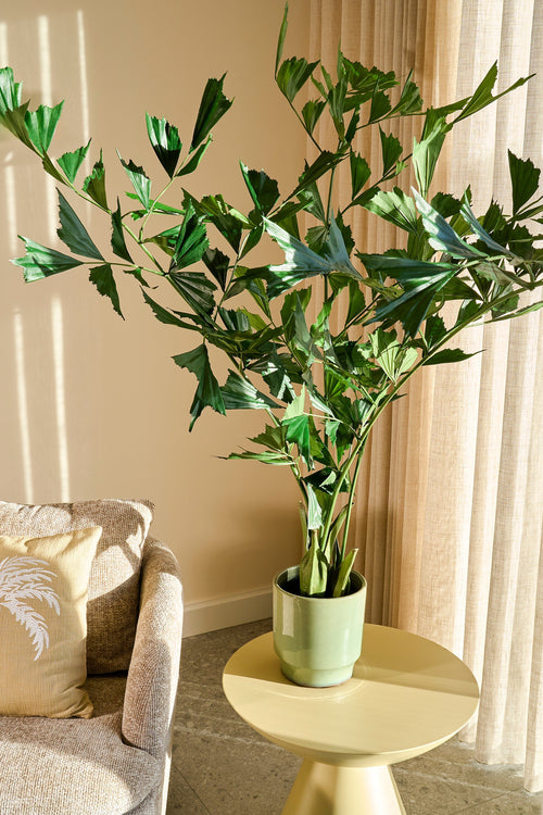 Mica Decorations Vissenstaart Palm Kunstplant in Pot - H150 x Ø100 cm - Groen