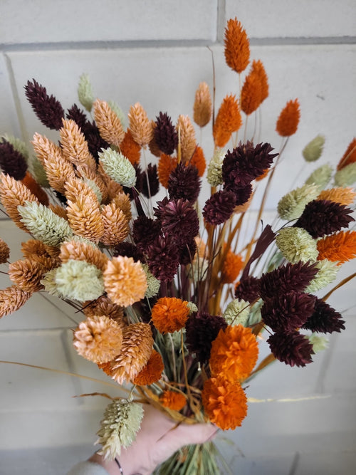 My Flowers.shop Aardetinten boeket Kanariegras | Terracotta Phalaris boeket droogbloemen | Lengte ± 65 cm | Per boeket - vtwonen shop