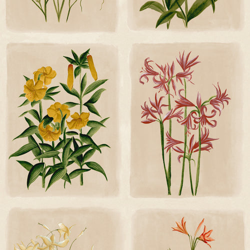 Laura Ashley Vliesbehang - Pershore Postcards Linen