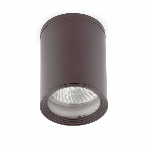 Faro Tasa - 1 Licht Buiten Opbouw Plafondlamp Donkergrijs IP44