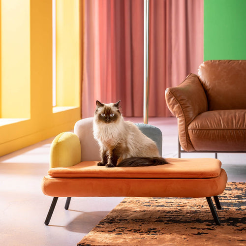 Kare Design Bed huisdieren Diva oranje
