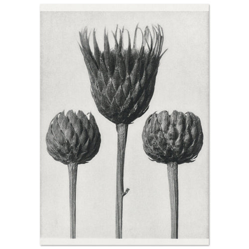 Artfulprints  Burst of bloom   poster 30x40 cm