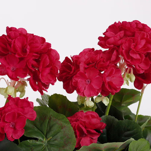 Mica Decorations Geranium Kunstplant in Balkonbak - L29 x B13 x H40 cm - Donkerroze