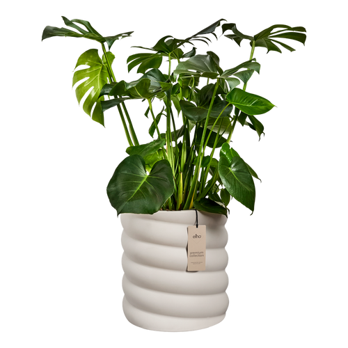elho swirl 37 linen white | Bloempot | Dynamisch premium design