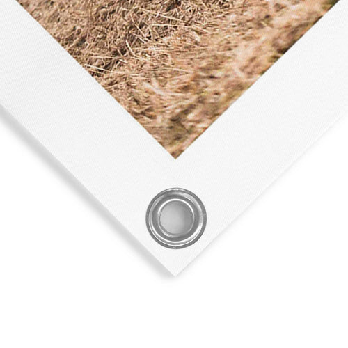 Reinders tuinposter Schaap in de mist - 80x60cm