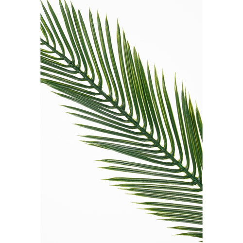 Mica Decorations Cycas Palm Kunstplant - H150 x Ø100 cm - Groen