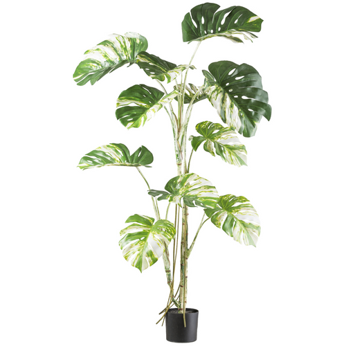 Flourify kunstplant - Monstera deliciosa variegata - 160 cm - vtwonen shop