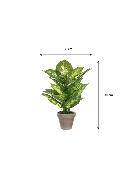 Mica Decorations Dieffenbachia Kunstplant in Bloempot Stan - H40 x Ø30 cm - Groen