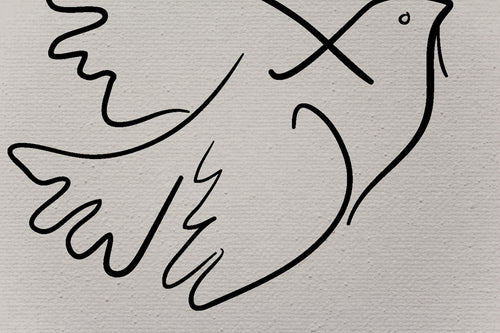 Canvas 60x40 Afdruk Picasso Duif