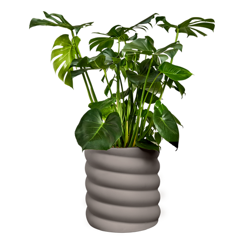 elho swirl 37 burnt umber | Bloempot | Dynamisch premium design
