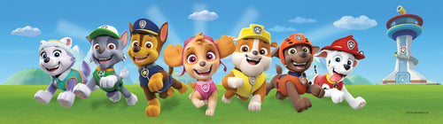 Sanders & Sanders zelfklevende behangrand PAW patrol blauw en groen - 500 x 14 cm - 600027