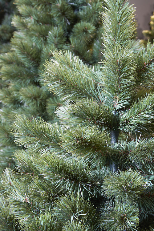 Triumph Tree Camden Kunstkerstboom Slim - H215 x Ø109 cm - Groen - vtwonen shop