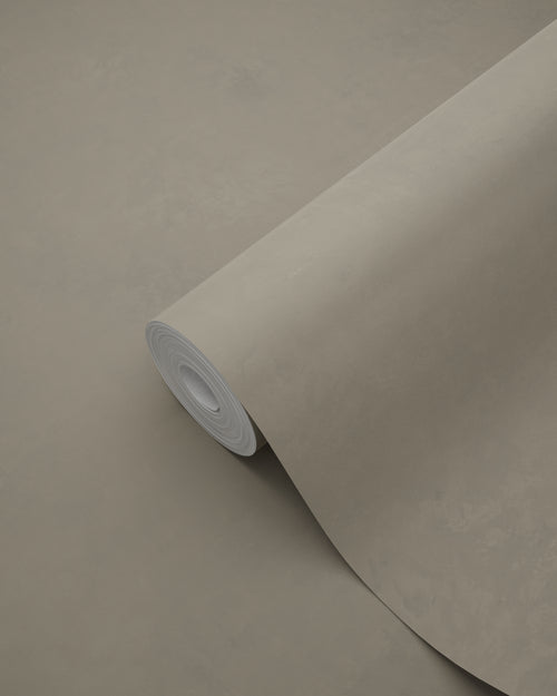 Origin Wallcoverings behang betonlook taupe - 50 x 900 cm - 348067 - vtwonen shop