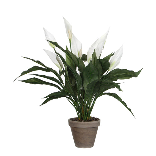 Mica Decorations Spathiphyllum Kunstplant in Bloempot Stan - H50 x Ø40 cm - Wit