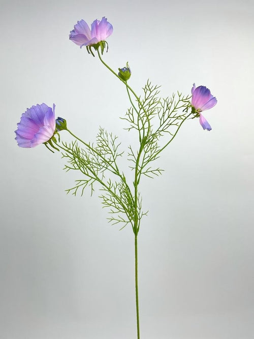 My Flowers.shop Paarse cosmea zijden bloem | Lengte 90 centimeter | Per stuk - vtwonen shop