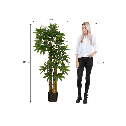 Mica Decorations Pachira Kunstplant - Kunstboom Watercacao Geldboom - Symbool voor Geluk en Welvaart - Groene Kunstplant voor Binnen - H175 x Ø85 cm -