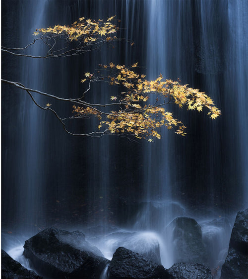Sanders & Sanders fotobehang waterval donkerblauw, zwart en okergeel - 375 x 270 cm - 601028 - vtwonen shop