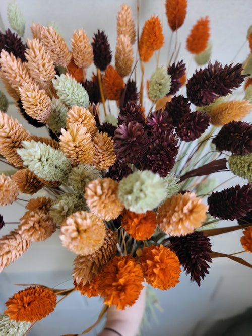 My Flowers.shop Aardetinten boeket Kanariegras | Terracotta Phalaris boeket droogbloemen | Lengte ± 65 cm | Per boeket - vtwonen shop