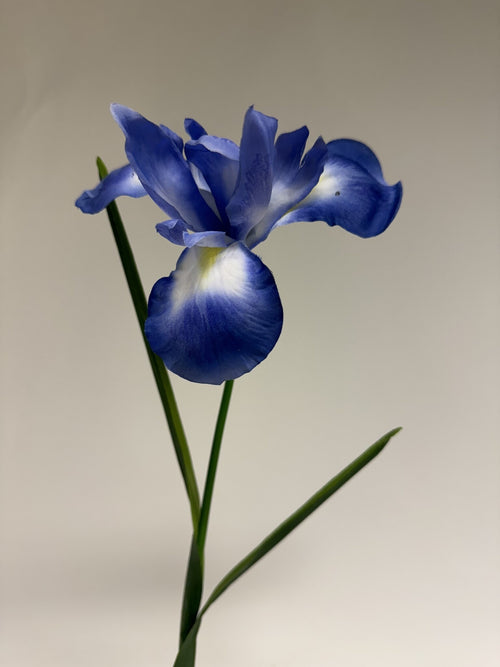 My Flowers.shop Blauwe iris zijden bloem | Lengte 55 centimeter | Per stuk - vtwonen shop