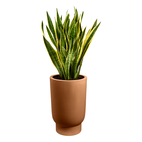 elho amber grail high 40 karamel | planter | Geschikt voor binnen en buiten