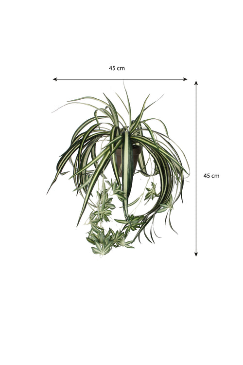 Mica Decorations Chlorophytum Kunstplant in Bloempot Stan - H45 x Ø45 cm - Groen