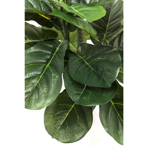 Kare Design Kunstplanten - Ficus Lyrata - 120cm - vtwonen shop