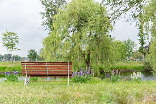 MaximaVida tuinbank Budapest 165 cm - uit exclusief Mahoniehout - vtwonen shop