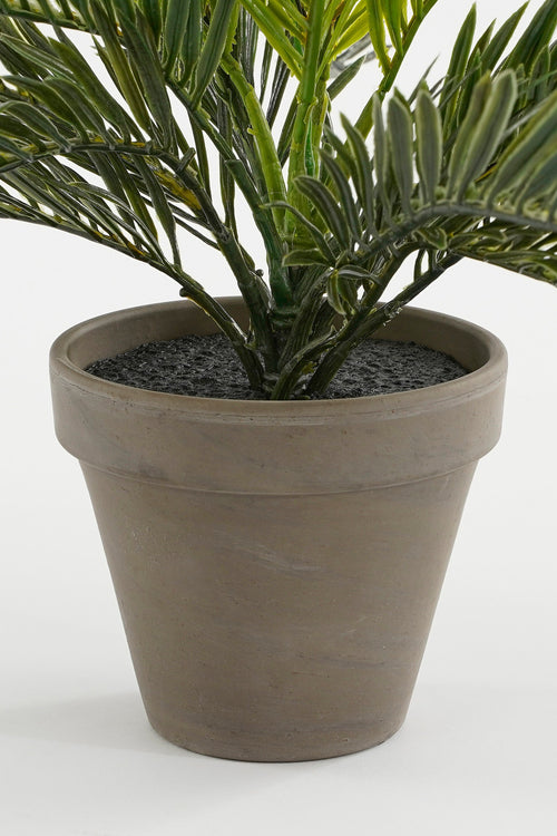 Mica Decorations Cycas Palm Kunstplant in Bloempot Stan - H33 x Ø34 cm - Groen - vtwonen shop