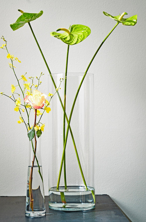 Mica Decorations Carly Vaas - H48 x Ø19 cm - Cilinder - Transparant