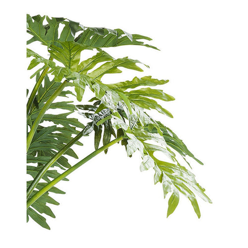 Kare Design Kunstplanten - Thaumatophyllum - 175cm - vtwonen shop