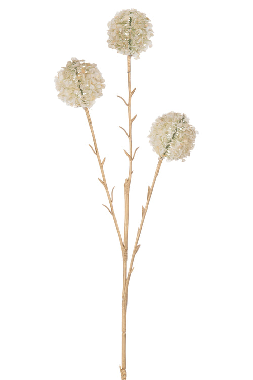 J-Line decoratie Tak 3 Bloemen Pompons - kunststof - crème/goud - large - 12 stuks - vtwonen shop