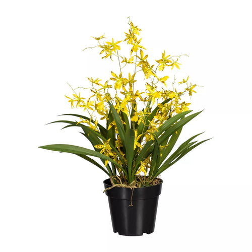 Flourify - Kunstbloem - Oncidium orchidee dancing queen - 60 cm - vtwonen shop